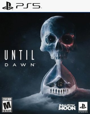Until Dawn