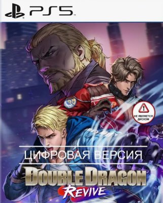 Double Dragon Revive