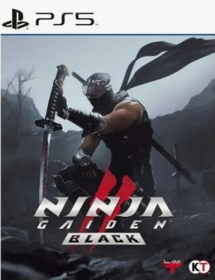 NINJA GAIDEN 2 Black